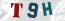 Güvenlik Resmi